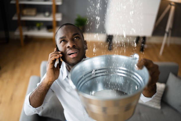 Carpet water damage restoration in MI