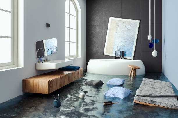 Best Carpet water damage restoration  in Beverly Hills, MI