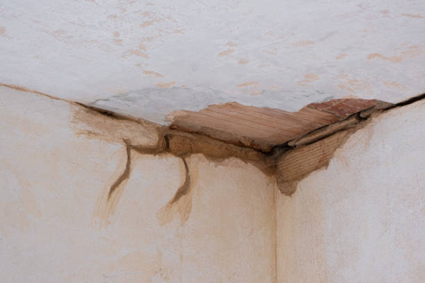 Best Carpet water damage restoration  in Beverly Hills, MI