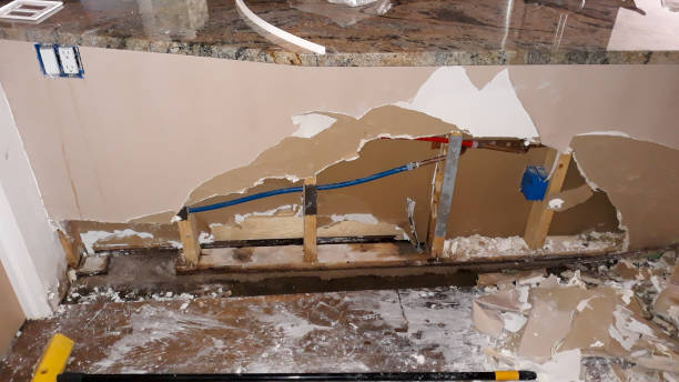 Best Local water damage restoration  in Beverly Hills, MI