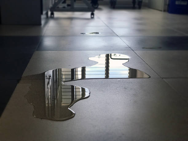 Best Water damage restoration specialists  in Beverly Hills, MI