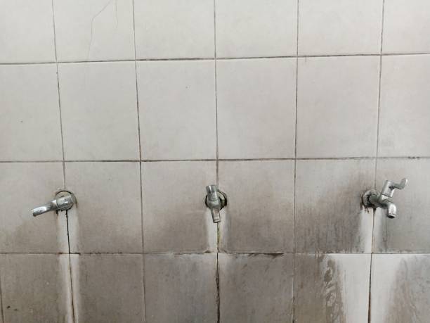 Carpet water damage restoration in MI