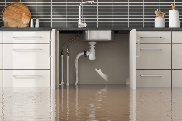 Best Water damage restoration process  in Beverly Hills, MI