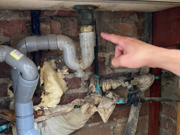 Best Local water damage restoration  in Beverly Hills, MI