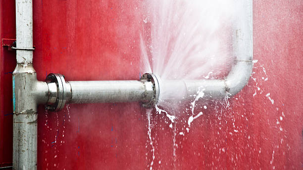 Best Flooded house restoration  in Beverly Hills, MI