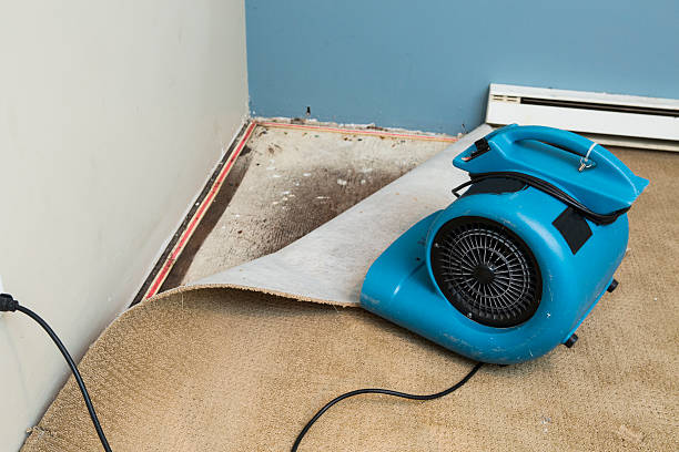 Best Water damage restoration specialists  in Beverly Hills, MI